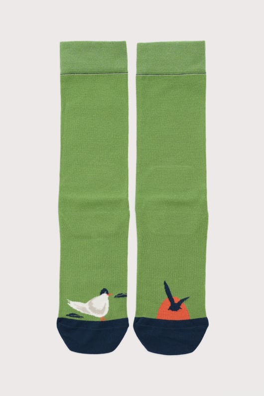 mens everyday socks
