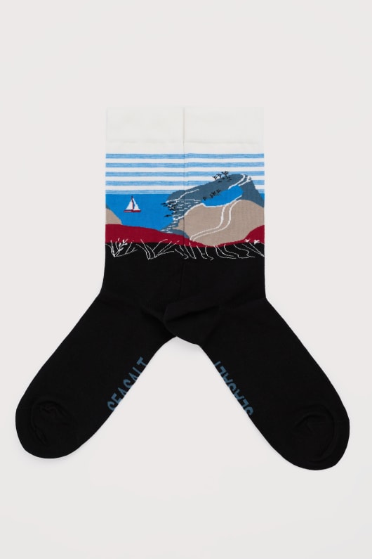 mens postcard socks