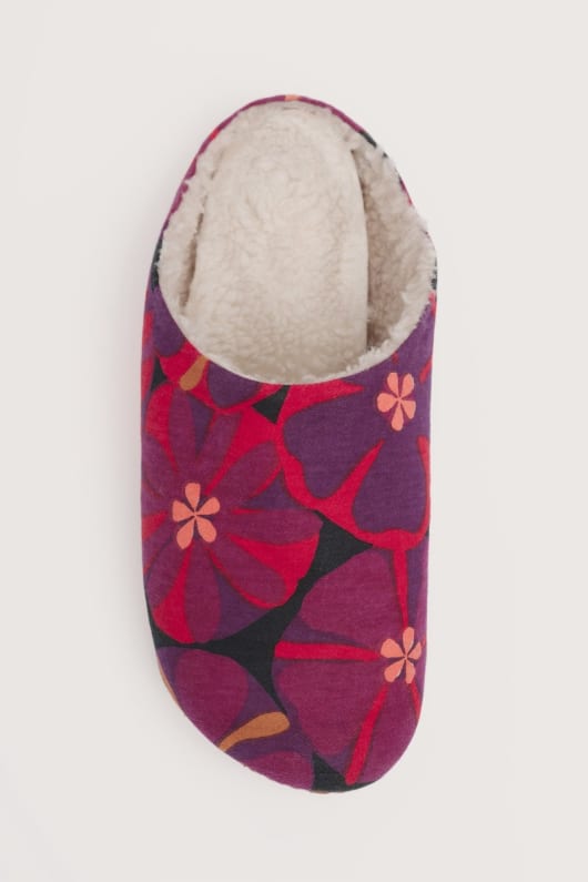 nightjar slipper